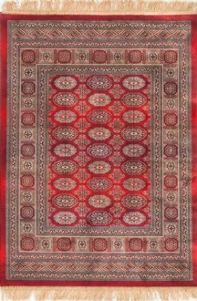 CHIRAZ RED 8438-12