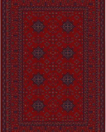 KIRMAN 160 x 230cm